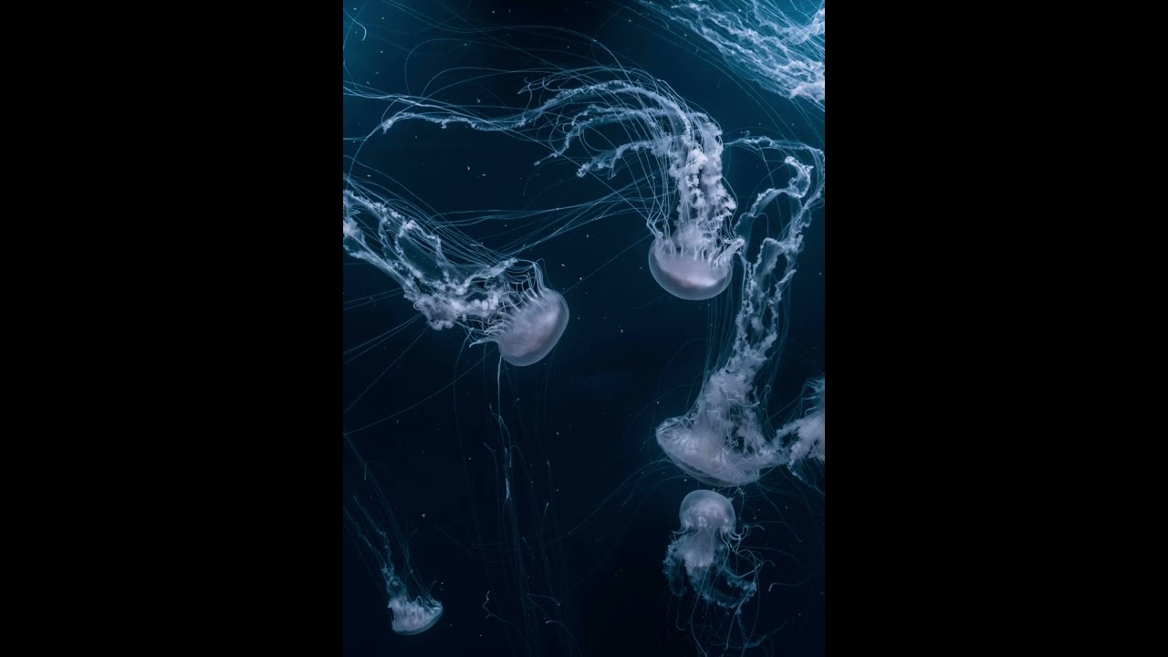 28.Circle of Bones