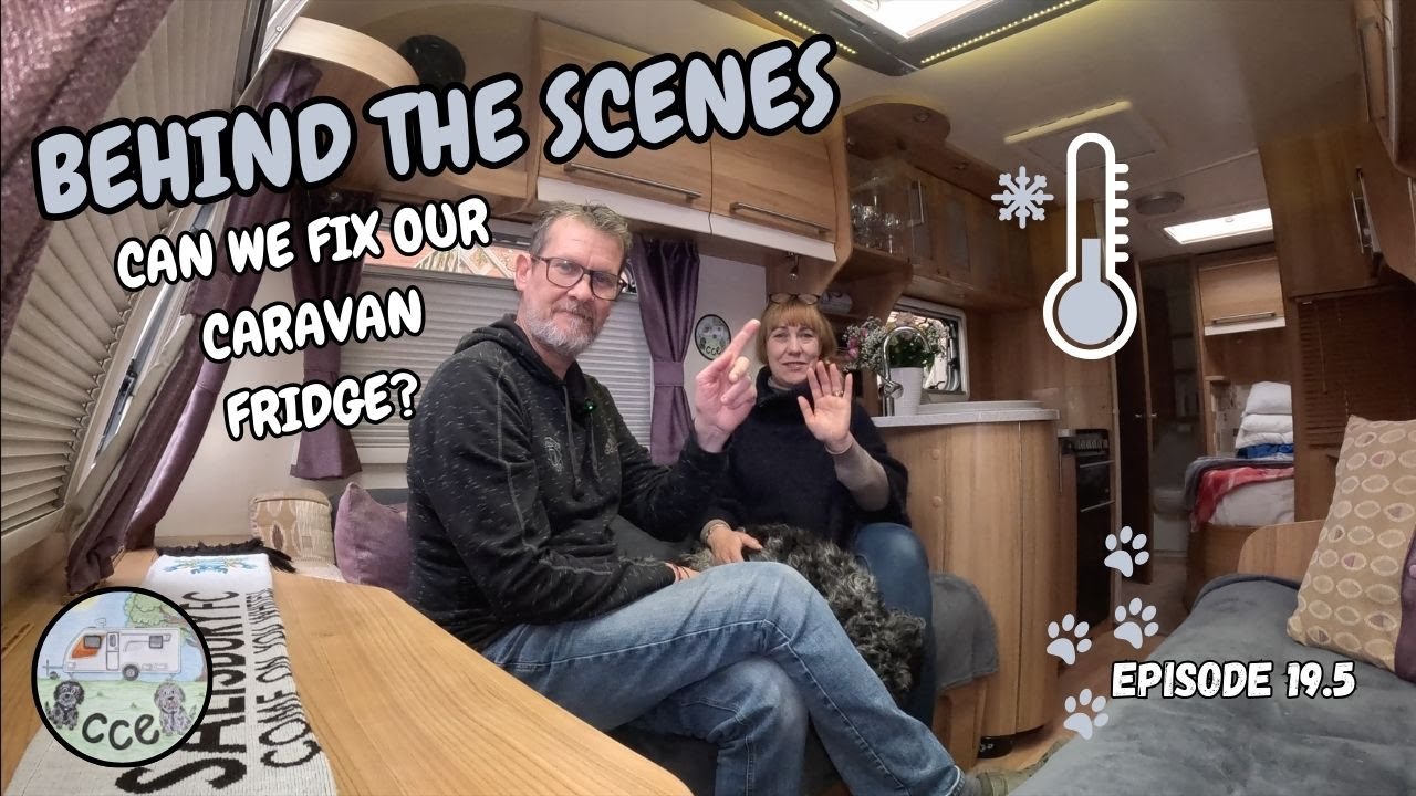 DOMETIC Caravan Fridge NOT WORKING ON GAS! Can we Fix it? Ep19.5