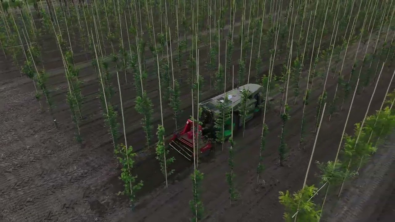 AgXeed AgBot W3 Power Harrowing in a Tree Nursery