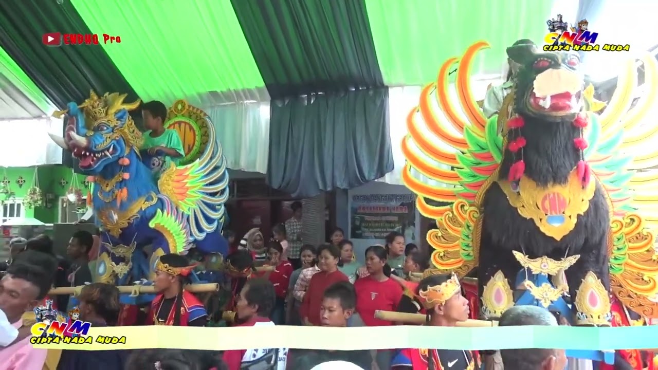 DOMBA KURING BUROK CIPTA NADA MUDA // DS. ASTANAMUKTI CIREBON #endhopro#endhopro#endhopro