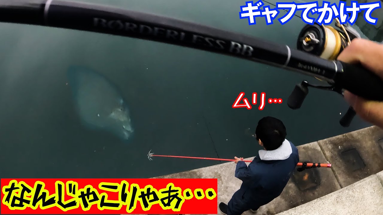 アジを泳がせたら化け物がヒットした…【4キロUP】