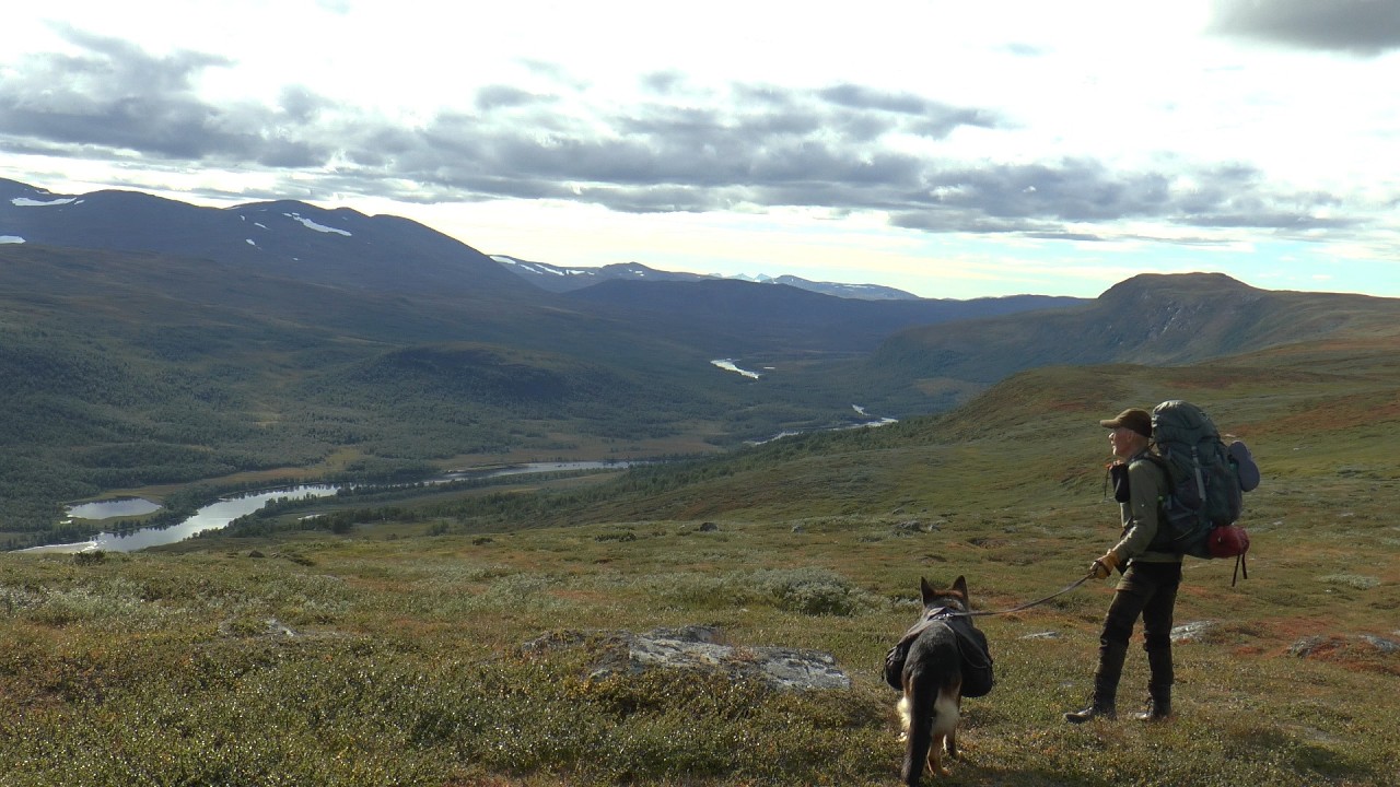 Fjällvandring 2025 i Ammarnäs