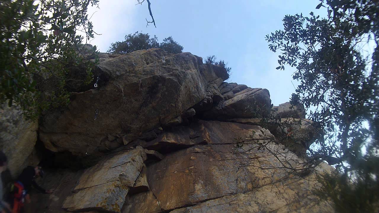 Escalada Artificial Cellecs
