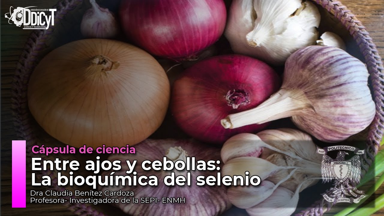 Entre ajos y cebollas: La bioquímica del selenio
