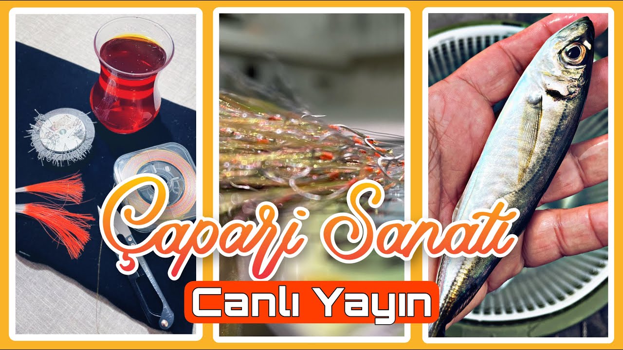 İstavrit Çapari Yapımı ve İstavrit Çapari Avcılığı üzerine CANLI YAYIN