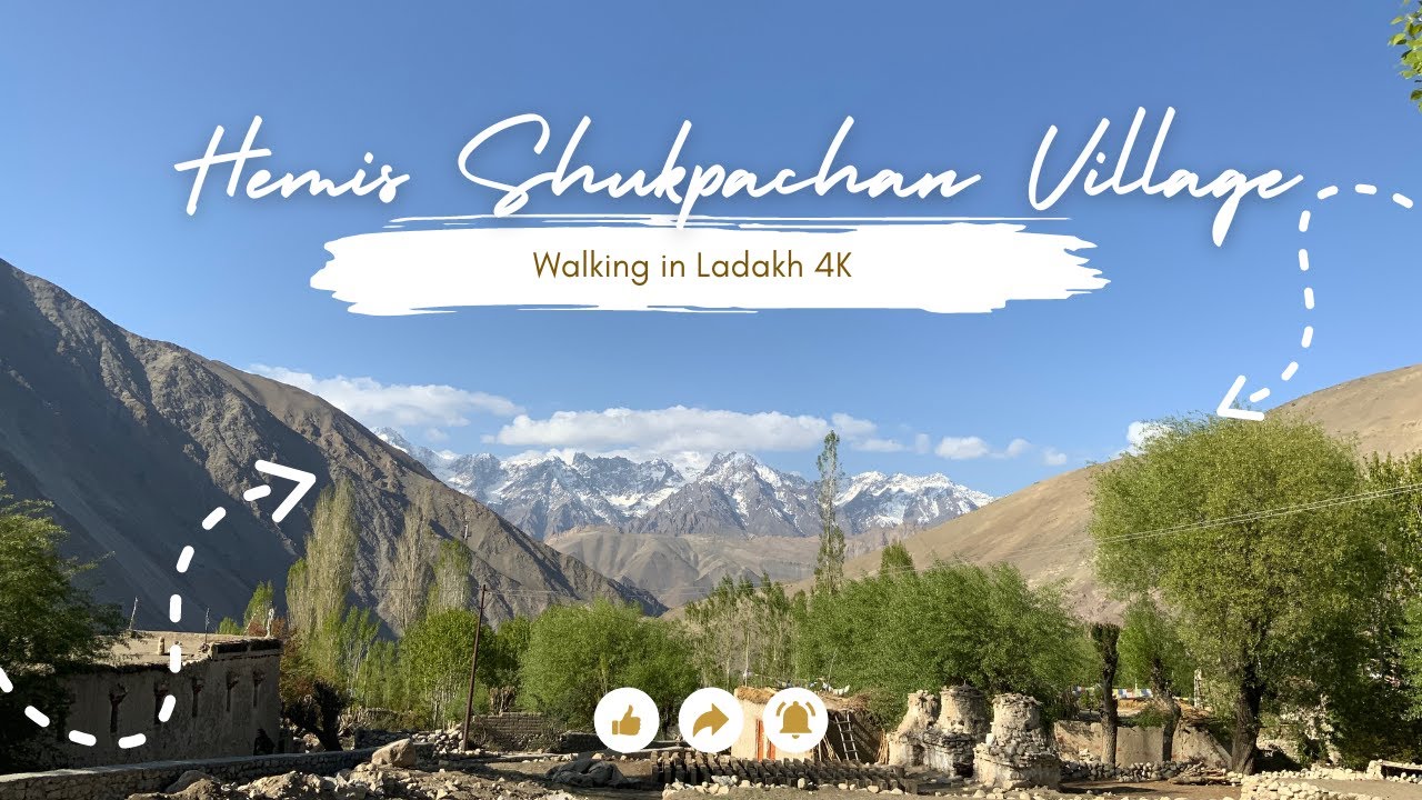 Walking in Hemis Shukpachan Village Ladakh 4K