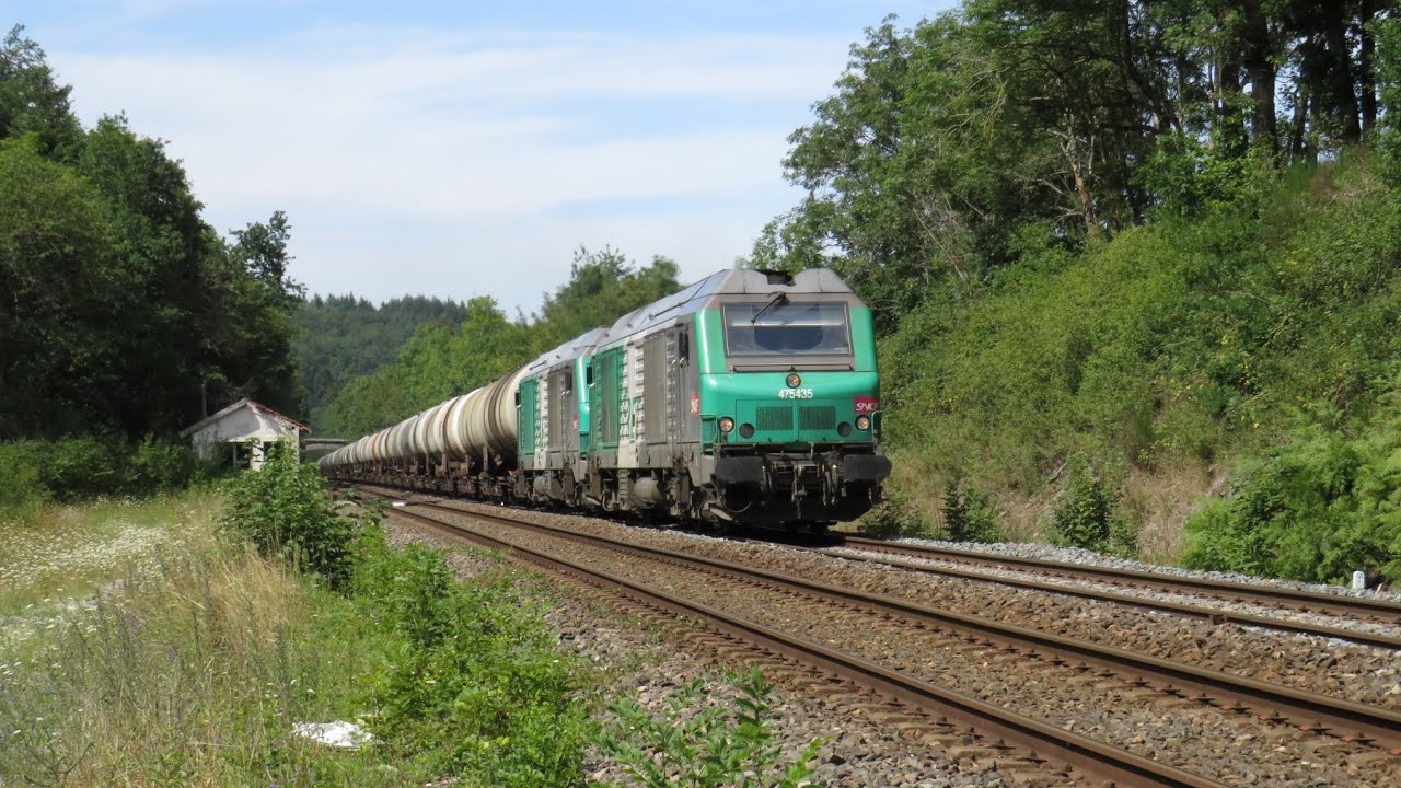 Divers trains à Roanne entre 2018 et 2020