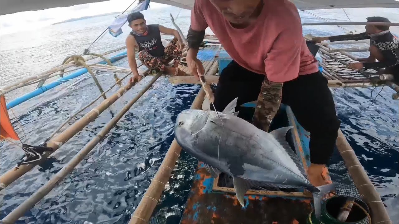 Labasan ang mga GIANT TREVALLY ngayon JACKPOT sana kung hindi ganito mga nangyari