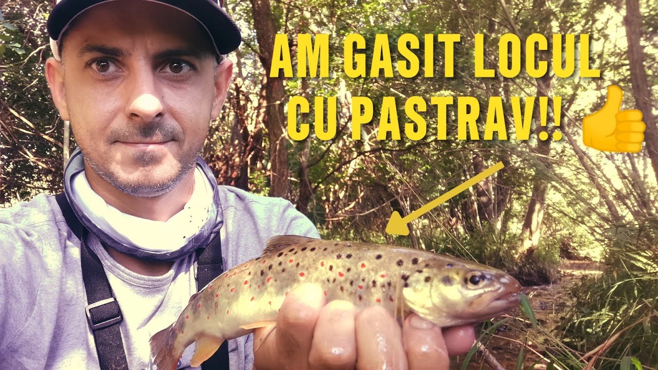 Am PESCUIT la PASTRAV lângă BRAȘOV am GĂSIT PASTRAVI frumoși pe râu