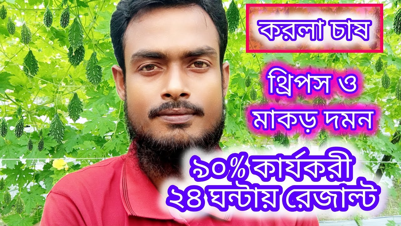 করলা গাছের মাকড় এবং থ্রিপস পোকা দমন সম্পর্কে বিস্তারিত জানতে সম্পূর্ণ ভিডিও দেখুন।