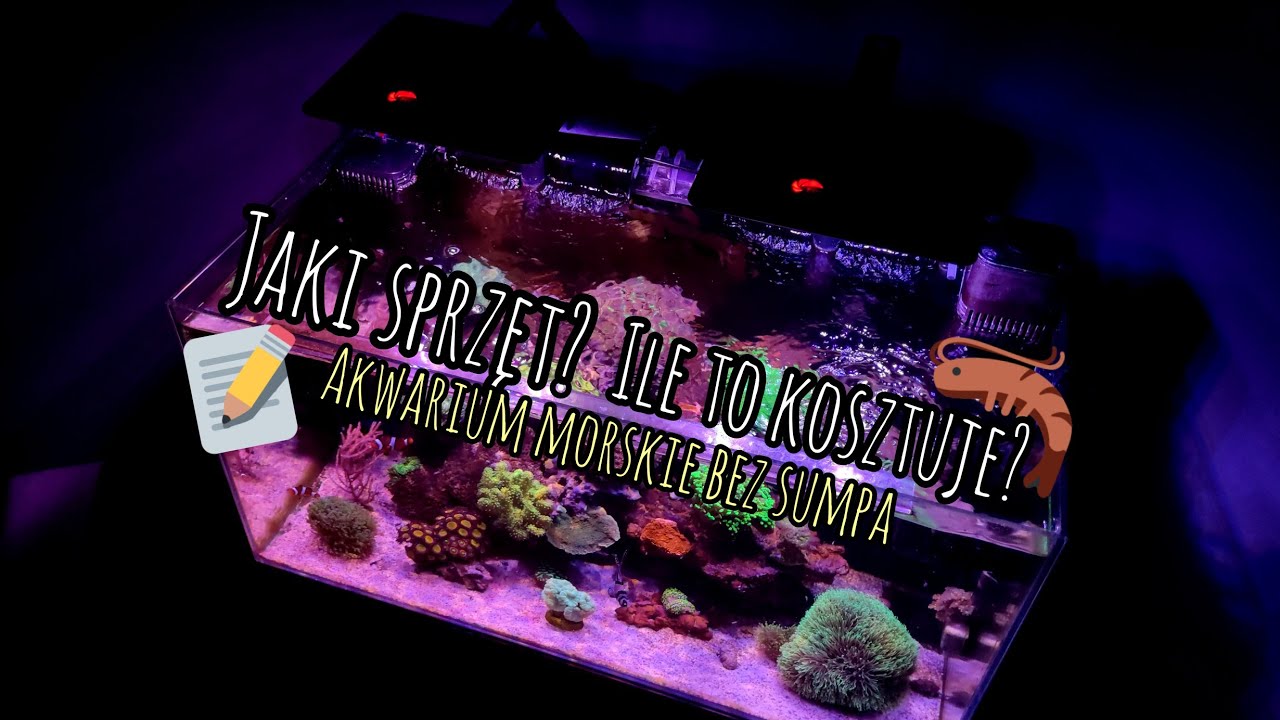 Ile to kosztuje?jaki sprzęt? odc.25 #akwarystyka #akwarium #aquaforest