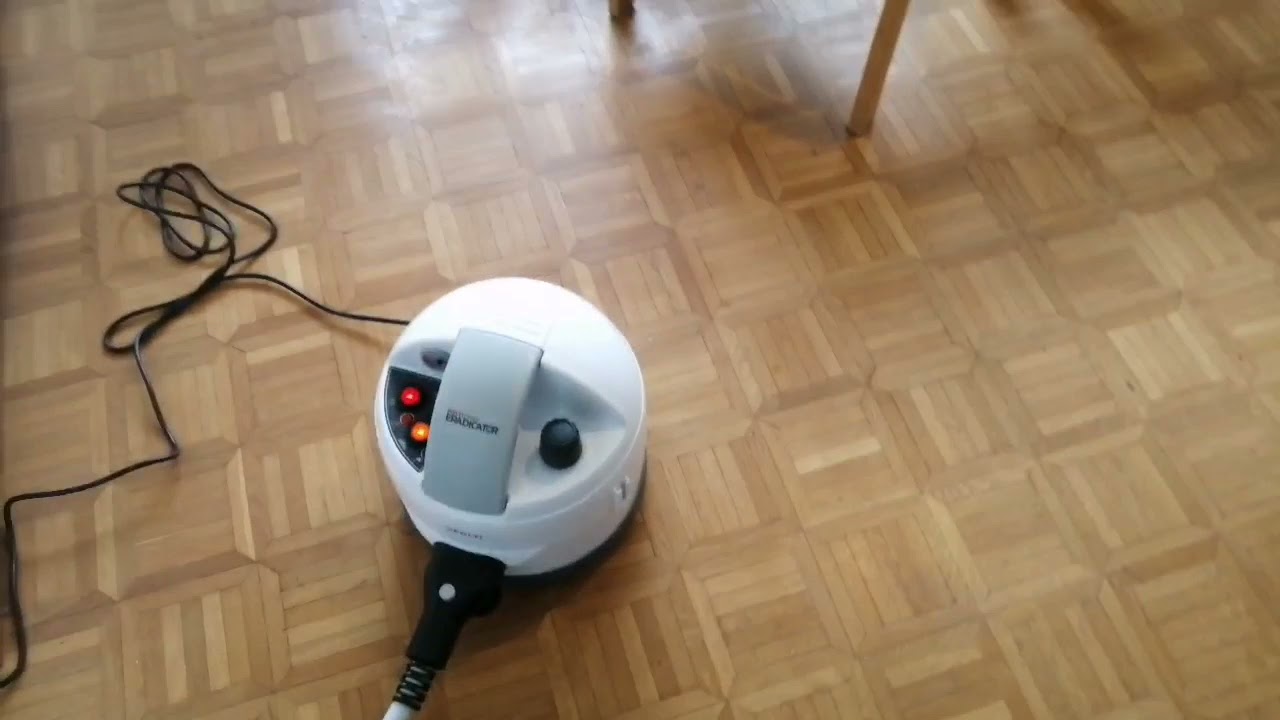 PUNAISES DE LIT - Traitement a la vapeur avec la machine Polti Cimec Eradicator