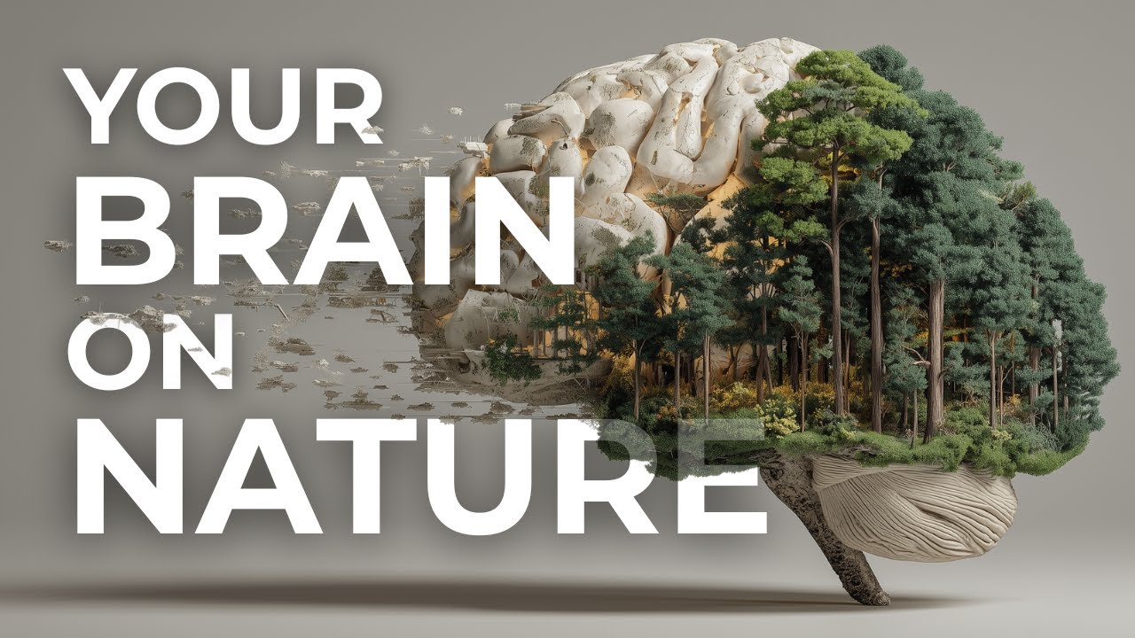 Can Nature Heal Anxiety & Stress? (The Science of Ecotherapy) | What is EcoTherapy