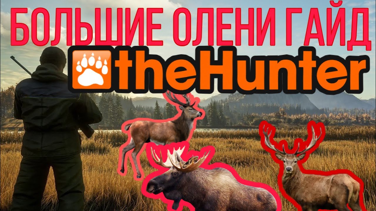 The Hunter Classic Большие олени Лось, Рузвельт, Благородный, Северный  олень помощь новичкам!!!!