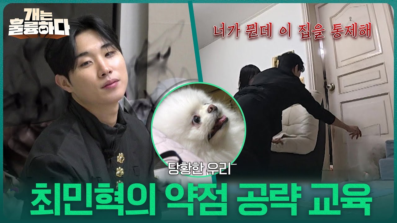 “ 너가 뭔데 이 집을 통제해 ” 오늘의 담임쌤, 최민혁의 약점 공략 교육 [개는 훌륭하다] | KBS 260302 방송