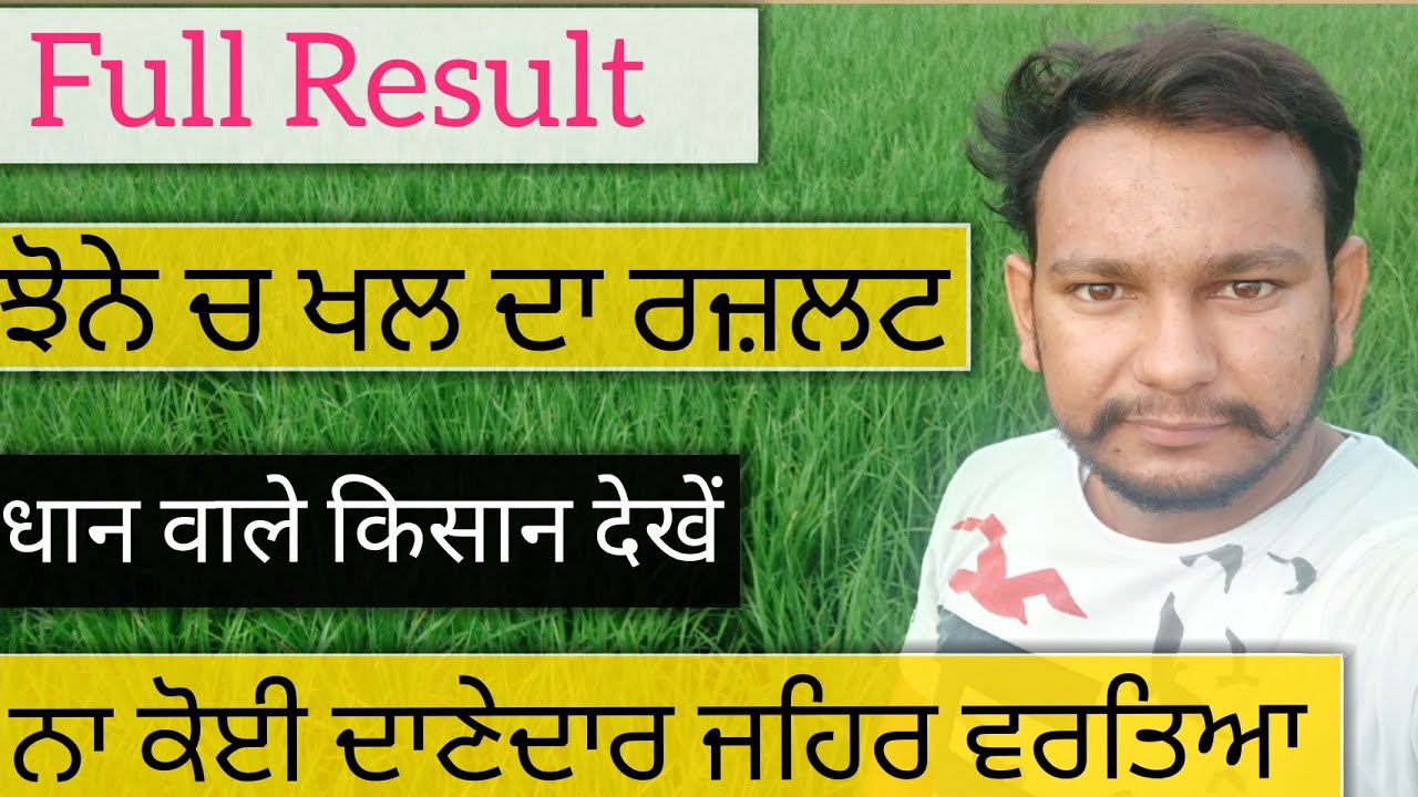ਮੇਰੇ ਝੋਨੇ ਚ ਖਲ ਦਾ ਰਜ਼ਲਟ benifts of Mustard Oil cake in paddy