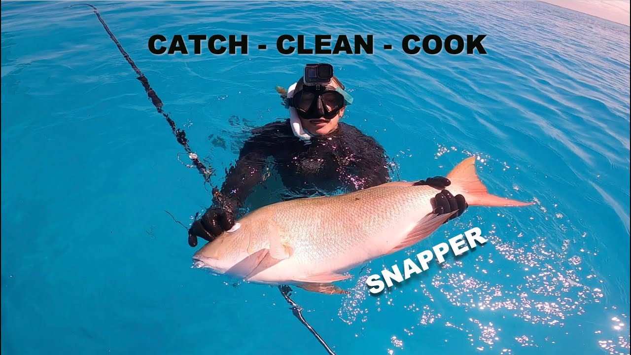 Perfect Day In Abaco, Bahamas - Mutton Snapper CATCH, CLEAN, COOK - Wreck Dive