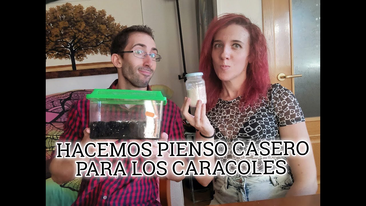 PREPARACIÓN DEL PIENSO DE LOS CARACOLES
