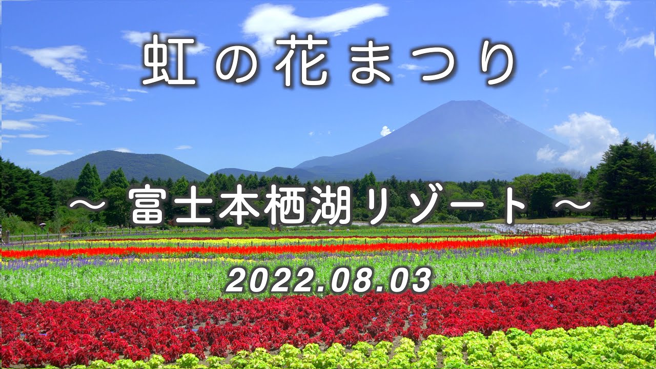 2022.08.03 富士本栖湖リゾート『虹の花まつり』 / 富士山と夏の花 [4K] #SummerFlowers #MtFuji #Fuji_Motosuko_Resort