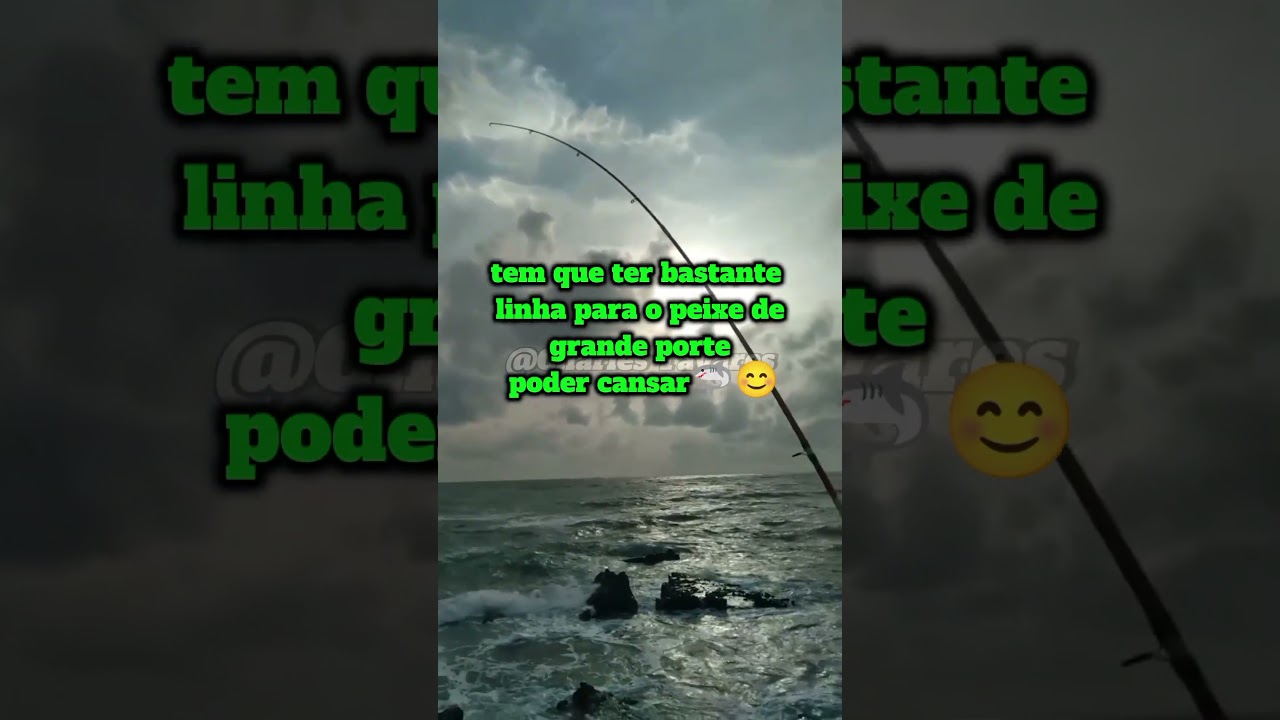 #fishing #pesca #pescaria #materialdepesca