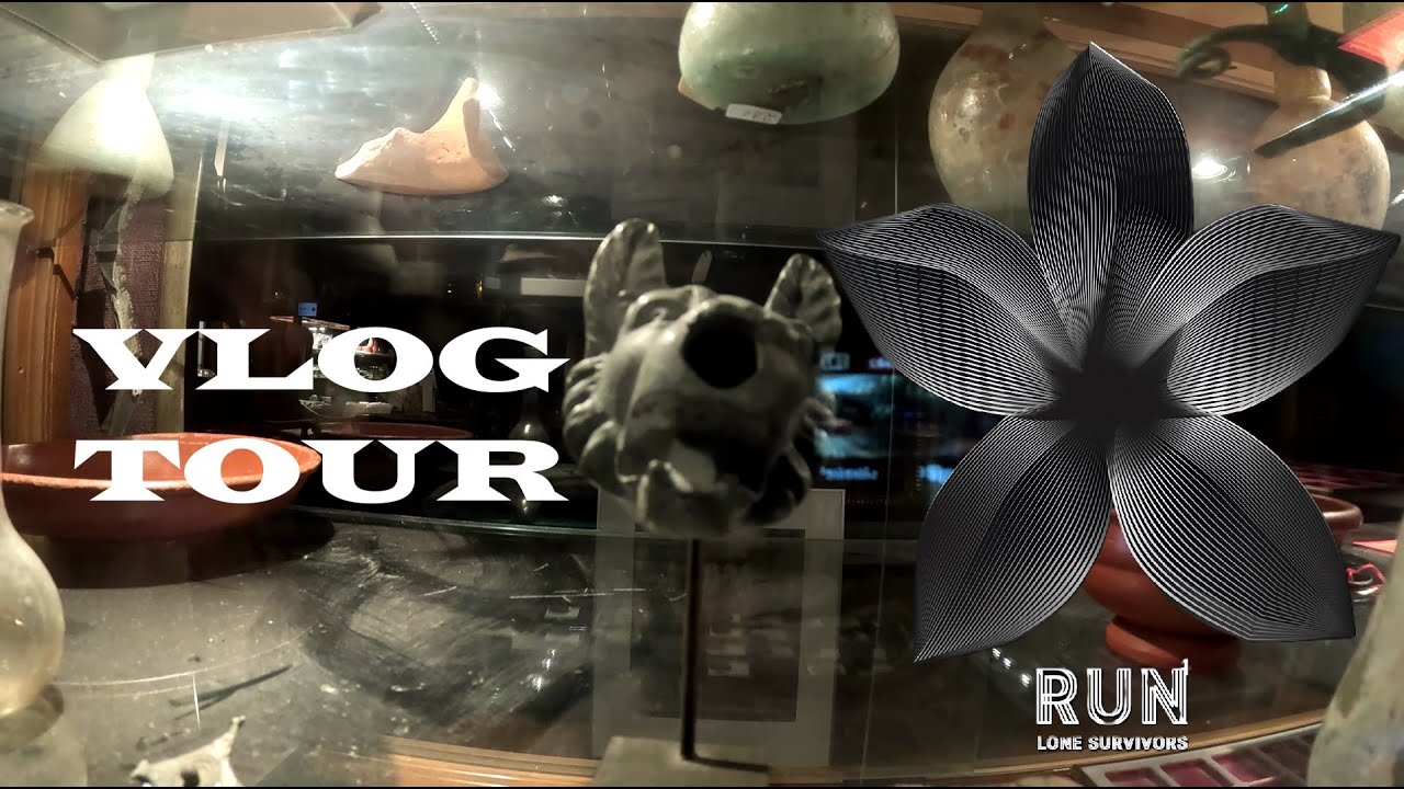 VLOG Lone Survivors Europe Tour 2024 - TRIER live at Mergener Hof