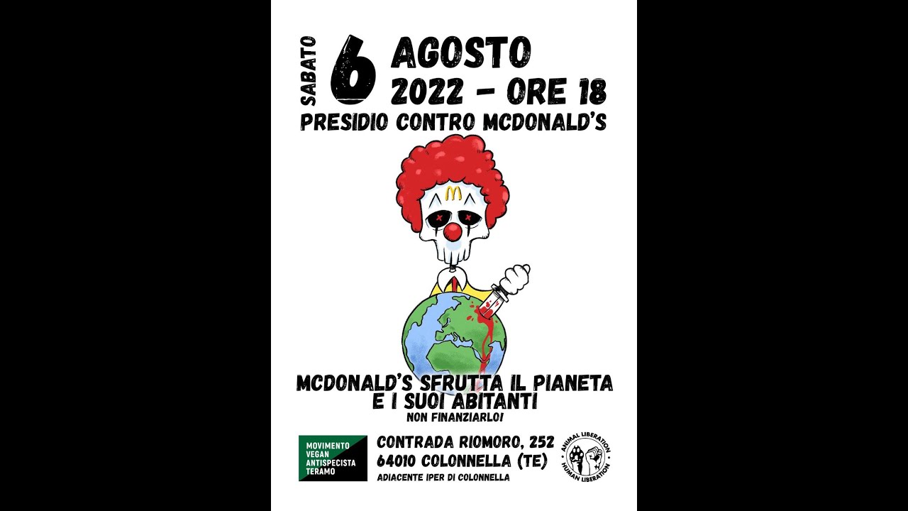 NO! MCDONALD's - Teramo (2022)