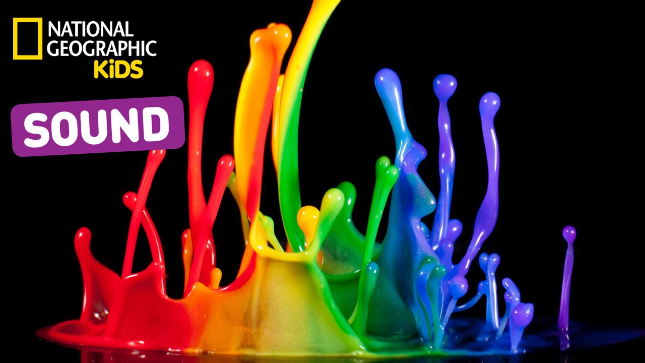 Learn About Sound | Nat Geo Kids Sound Playlist