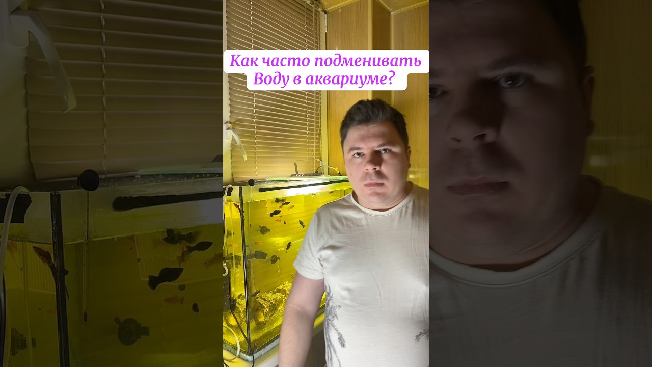 Обман о подмене воды в аквариуме