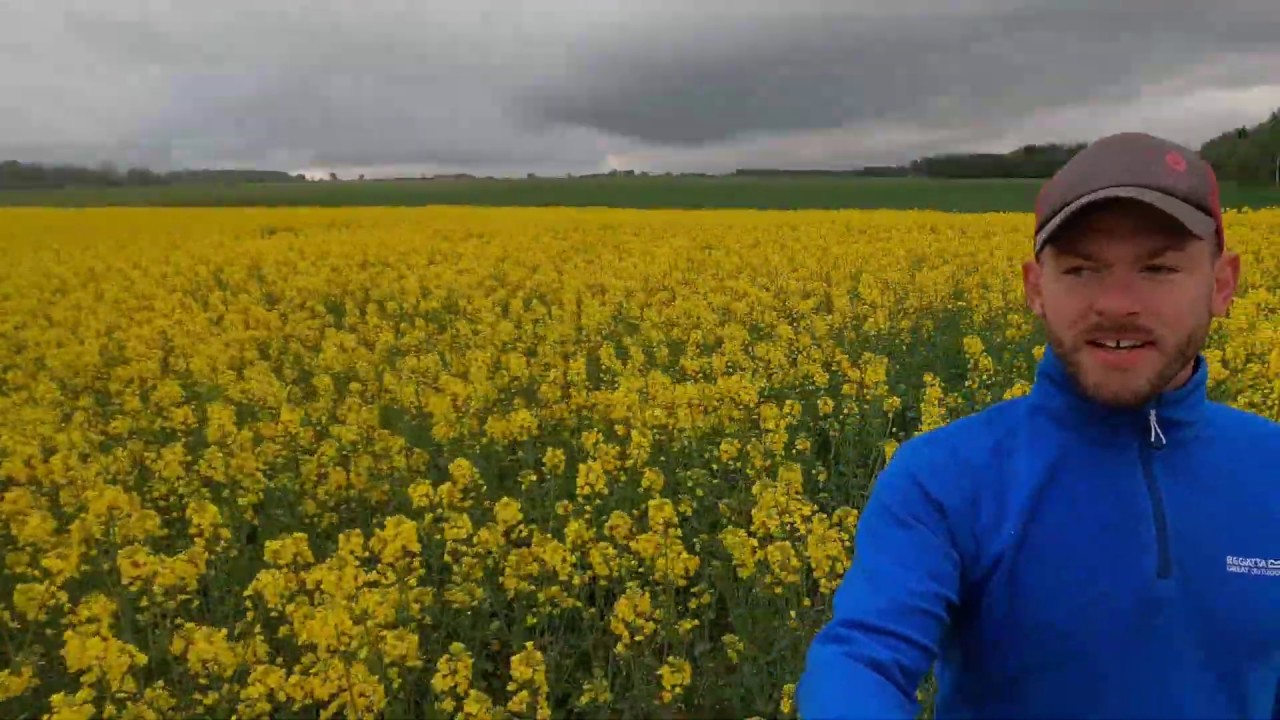 2020 spring#32  avižų sėja baigta.