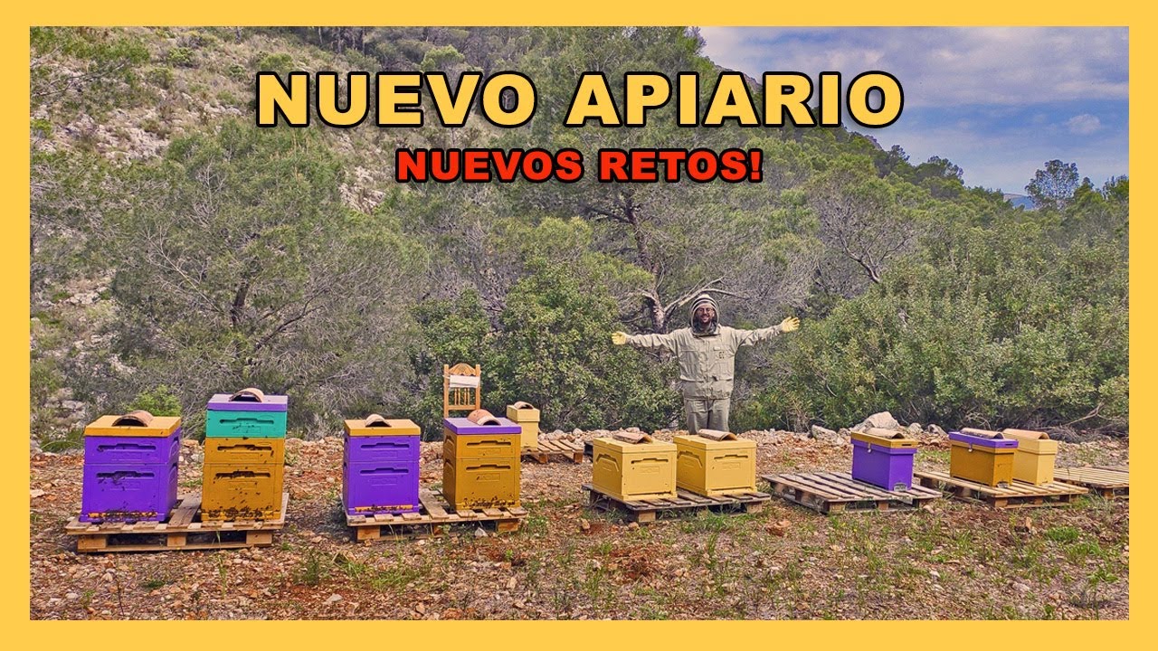 NUEVO APIARIO  🐝🧡🎥Abeja Presumida