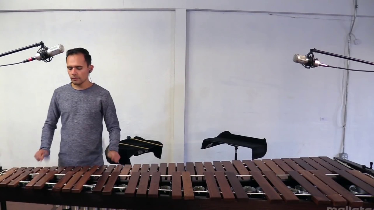 The Warning Lights Are Blinking Red - solo marimba + audio track by Ivan Trevino