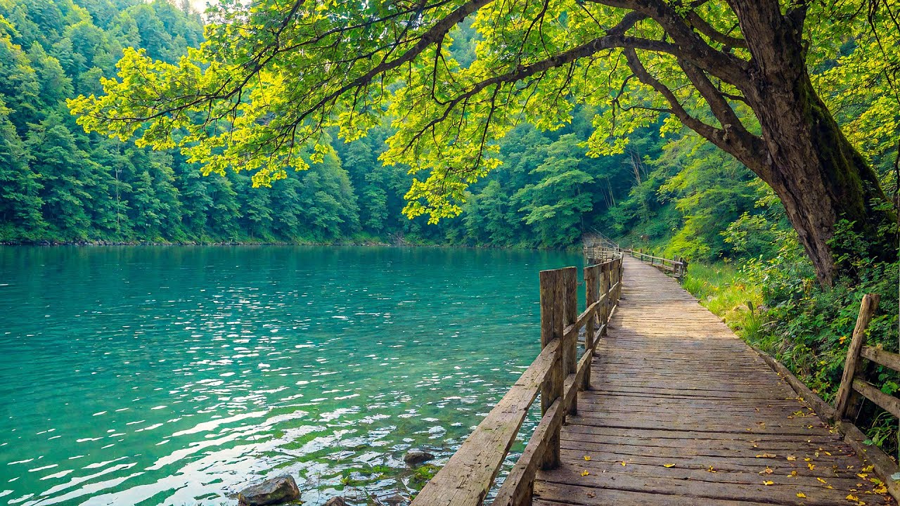 Все ваши тревоги исчезнут, если вы послушаете эту музыку🌿 Расслабляющая музыка успокаивает нервы #6