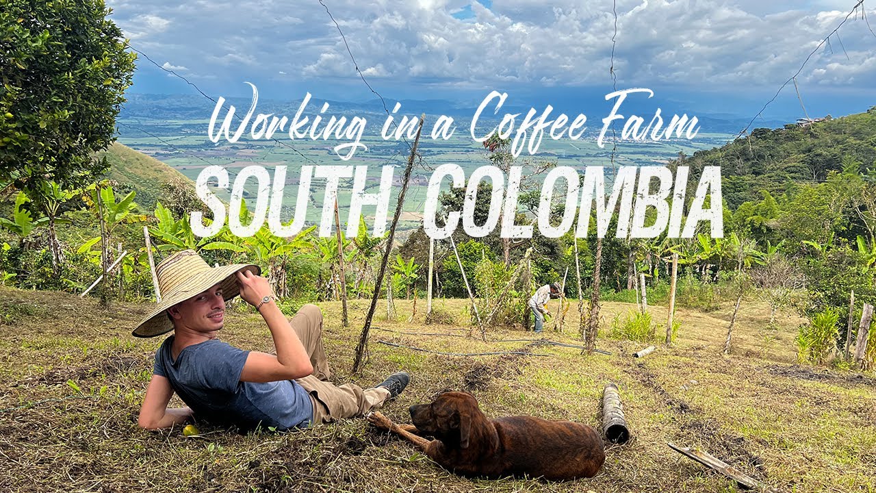 The MOST BEAUTIFUL place of COLOMBIA | I Worked in a COFFEE FARM