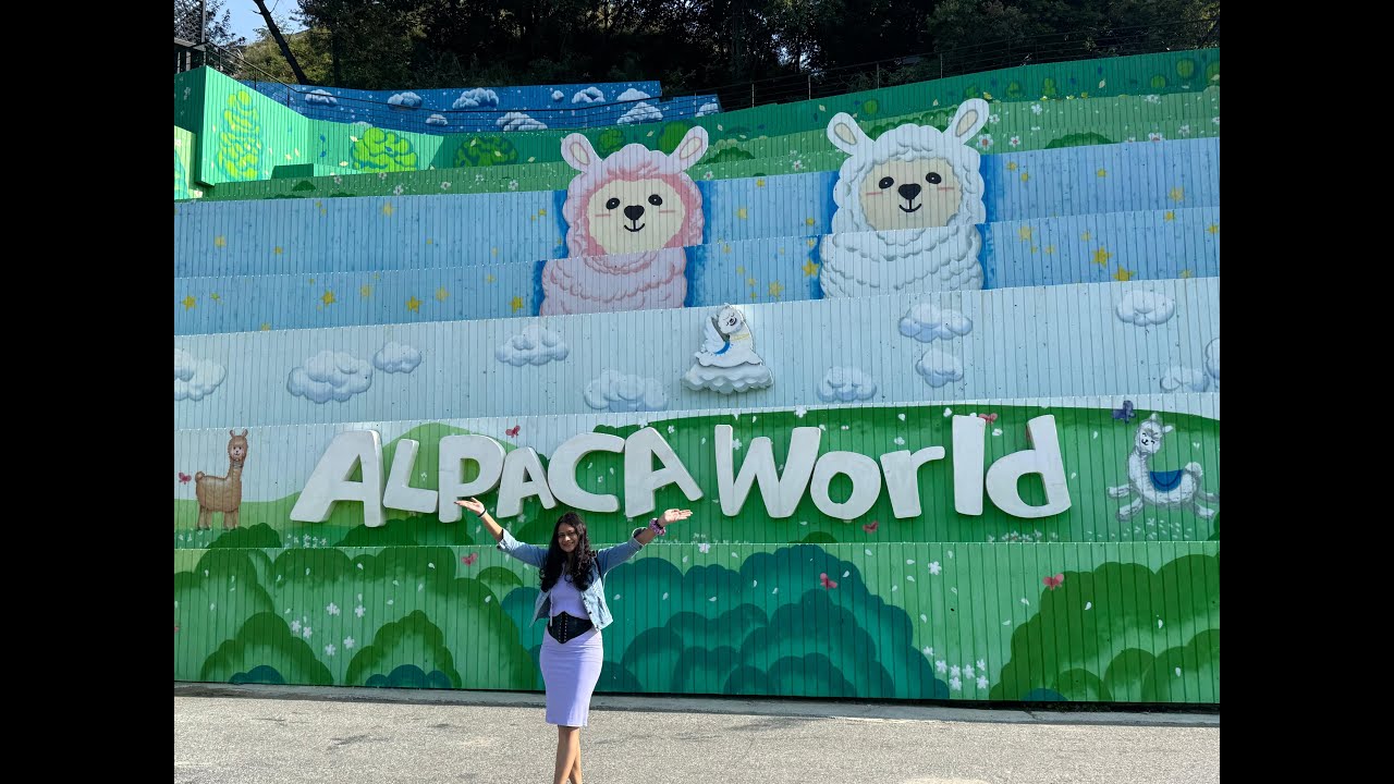 Alpaca World Seoul 🦙 | Cutest Animal Experience in South Korea | Seoul Travel Vlog