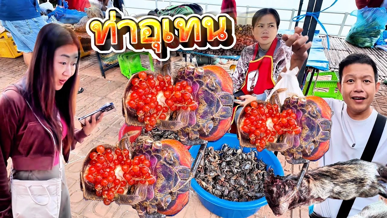 ลุงเด่นพาเที่ยว2026 EP#7อึ้งเคยเห็นครั้งแรกปูหิน ปูไข่ เดินตลาดนัดของป่าปลา แม่น้ำตลาดท่าอุเทนนครพนม
