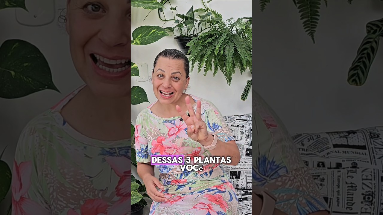 As 3 plantas mais f&aacute;ceis de cuidar #plantasfaceis #plantasemcasa #minhajungleurbana #verdeemcasa