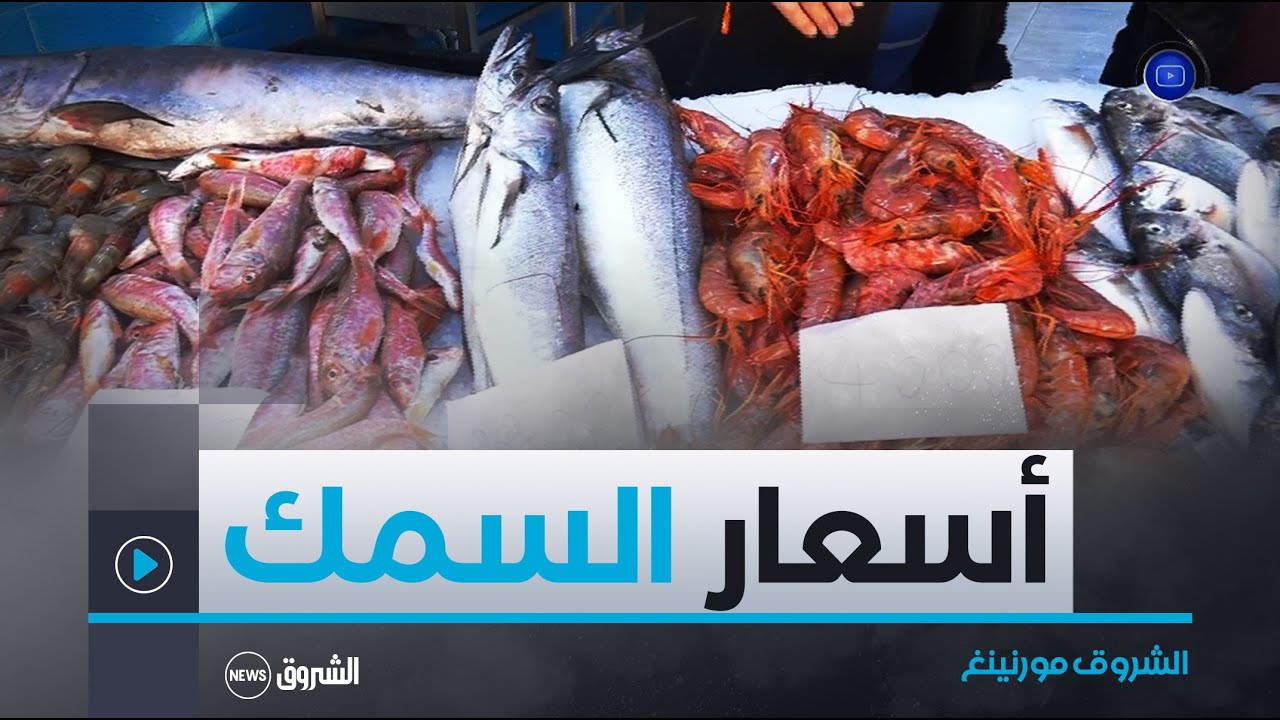 الشروق مورنينغ | غلاء الأسعار يغيب السمك عن موائد الجزائريين
