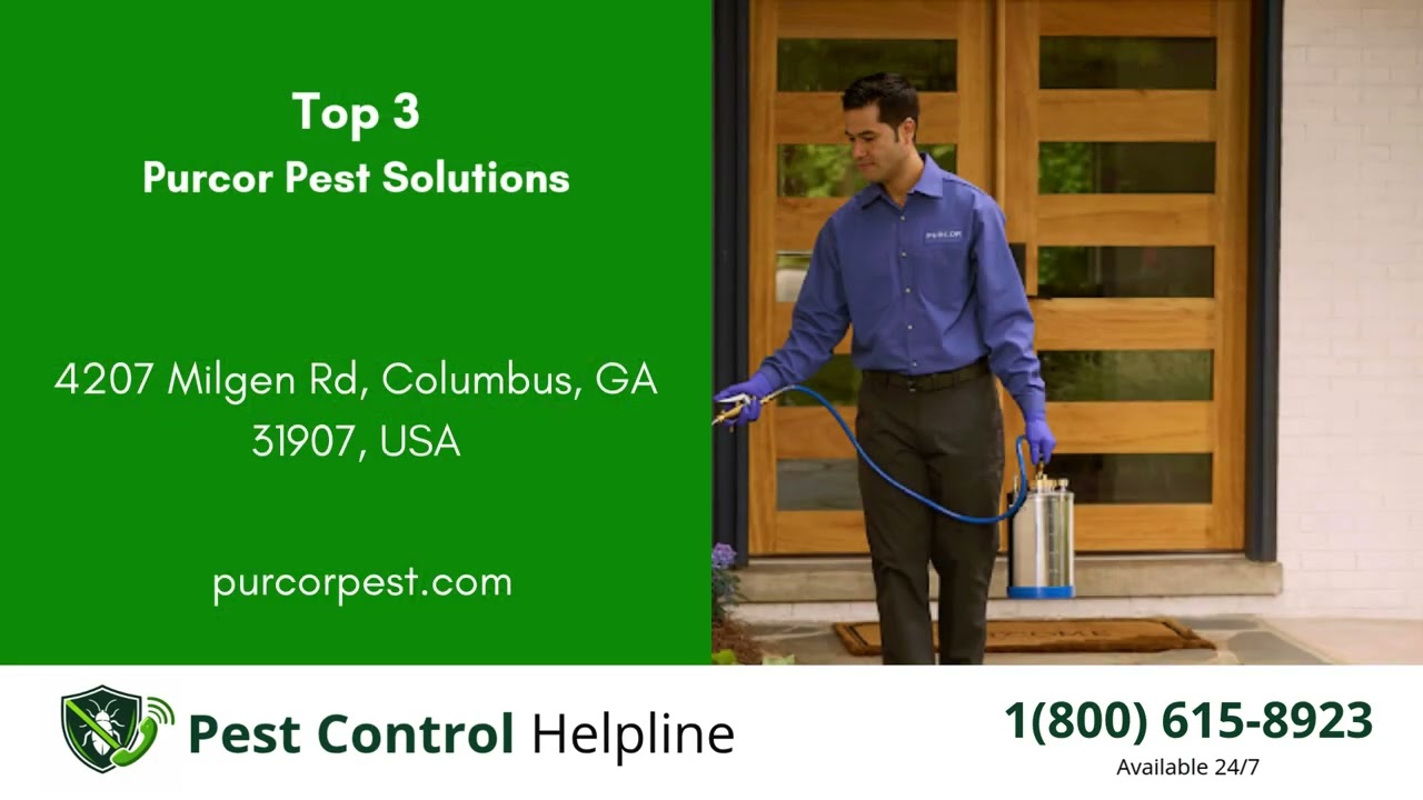 Top 3 Pest Control in Cusseta