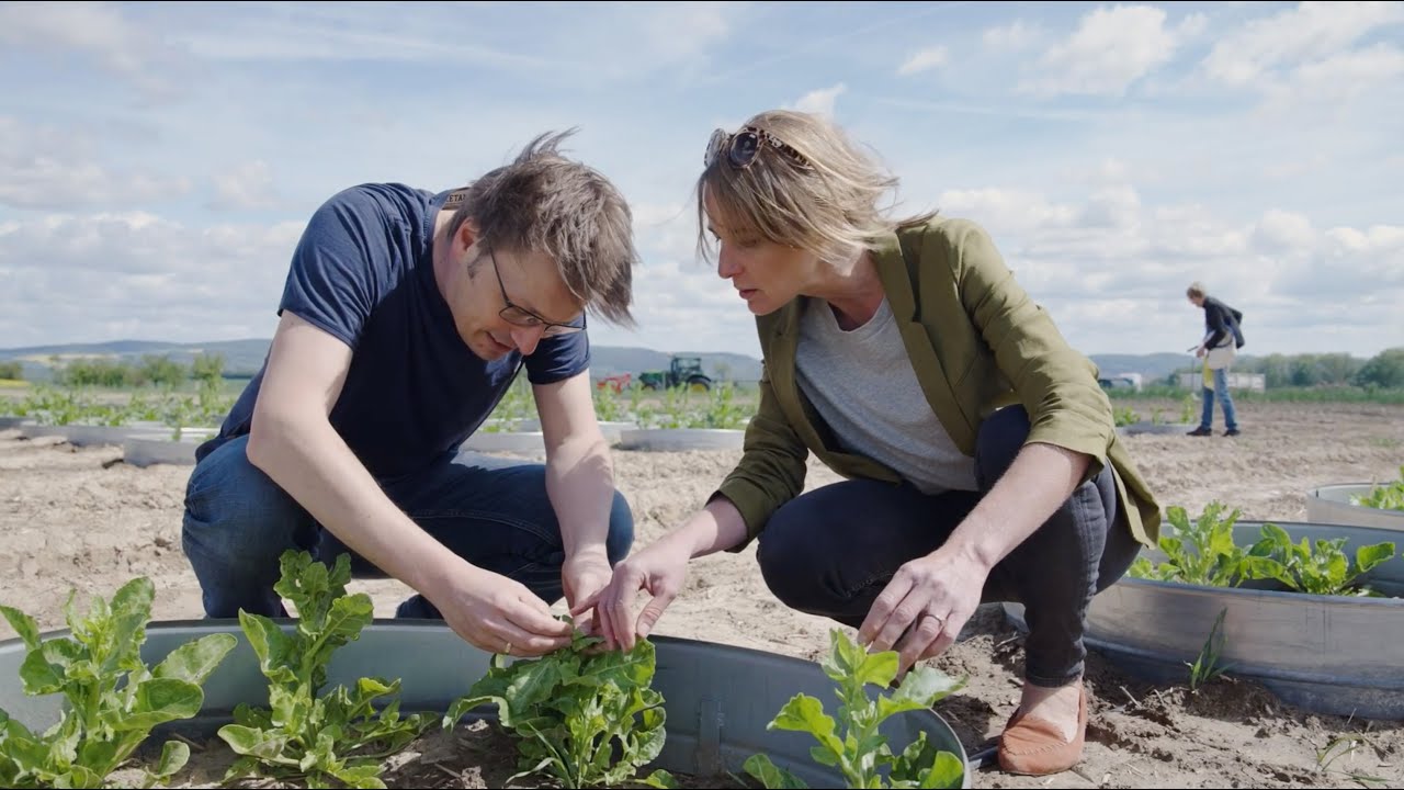 KWS: Protect the seed with biologicals &ndash; ecologically and sustainably