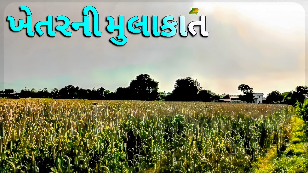 ખેતરની મુલાકાત 🌽🥰