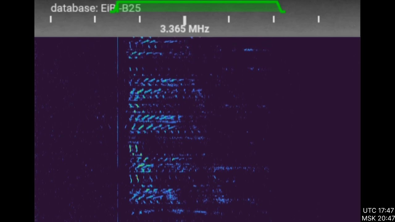The Squeaky Wheel voice message on day 31.01.2026
