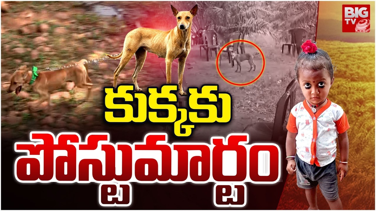 కుక్క కు పోస్టుమార్టం | Jahnavi Missing Case Latest Updates | Kakinada Tuni Girl Incident | BIG TV