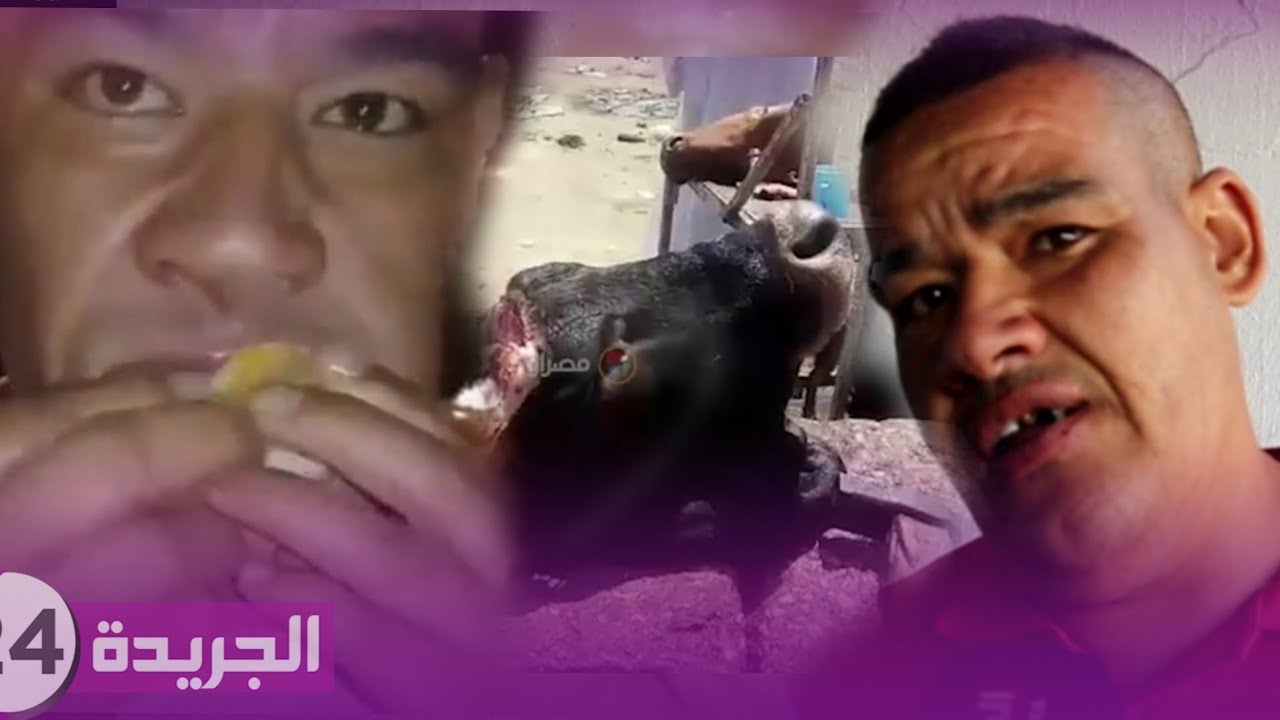 بسيلا شرب ساني كروا وكال 400 هندية او بغا ياكل ثلاثة ريوس البقر