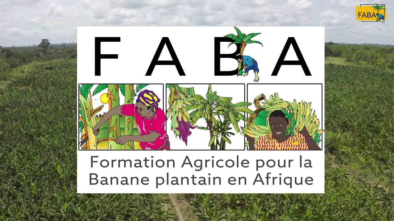 Le projet FABA, c'est quoi ?