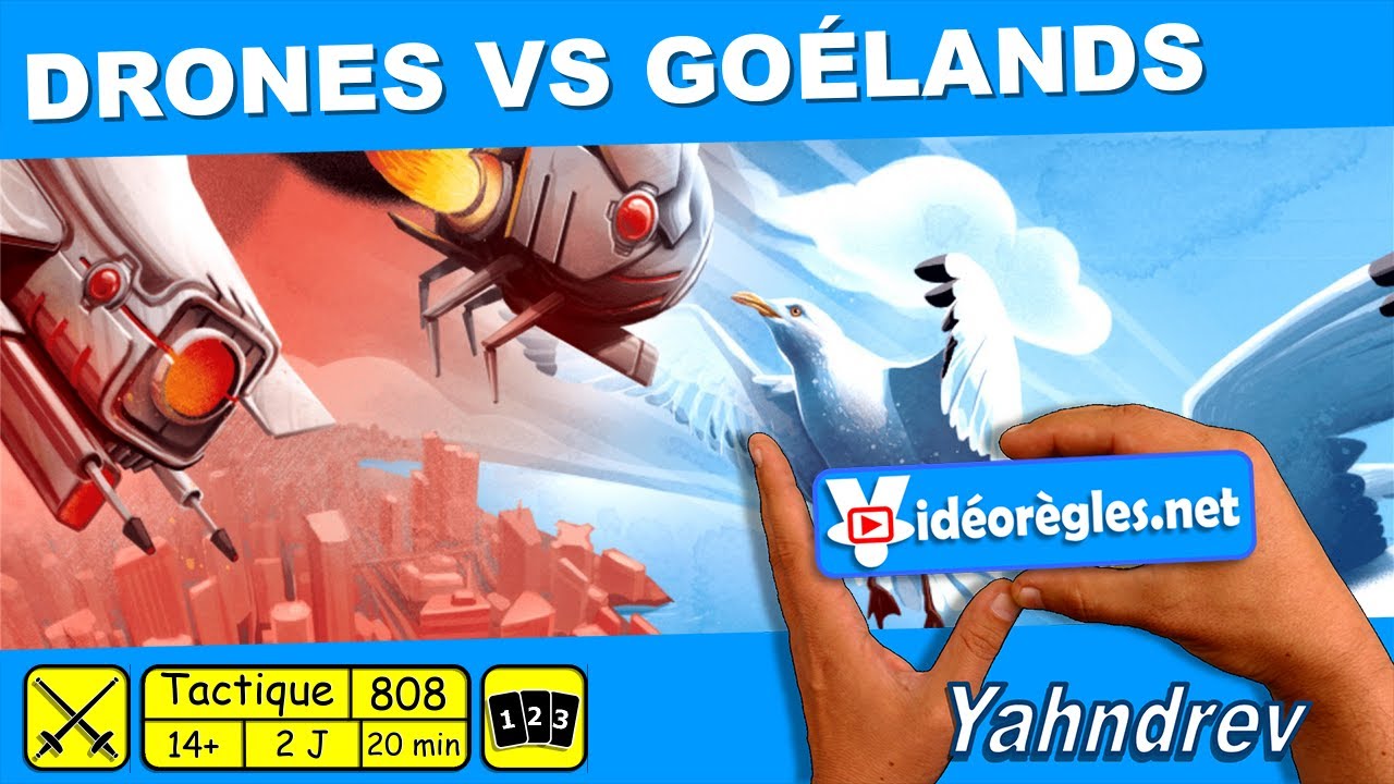 Vidéorègle Jeu de Société 