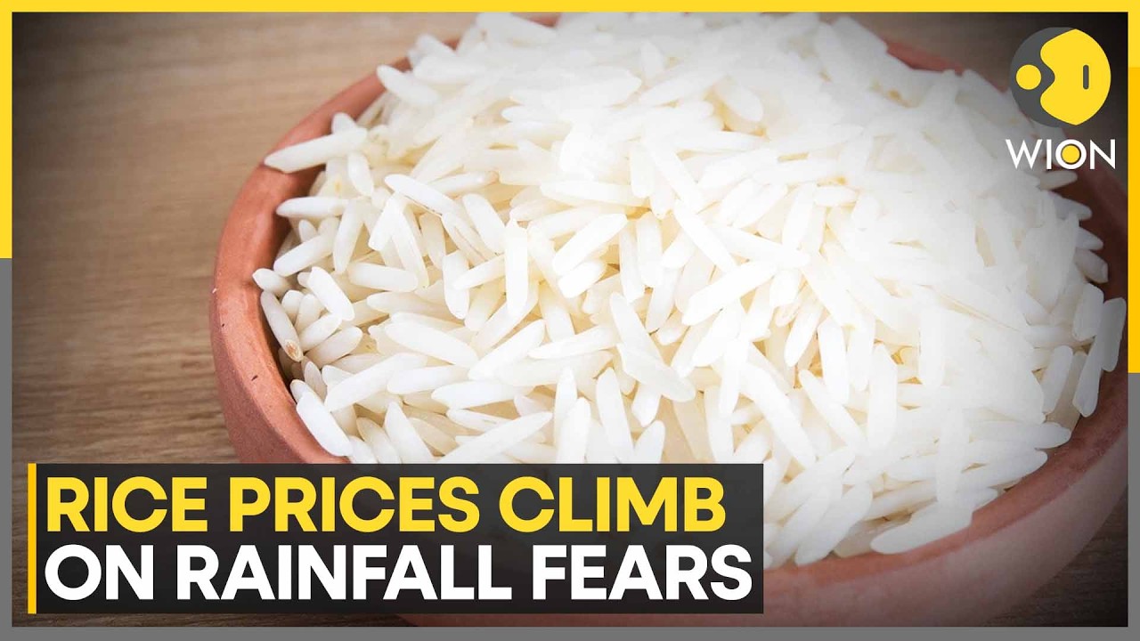 South India Faces Rice Supply Pressure | WION News