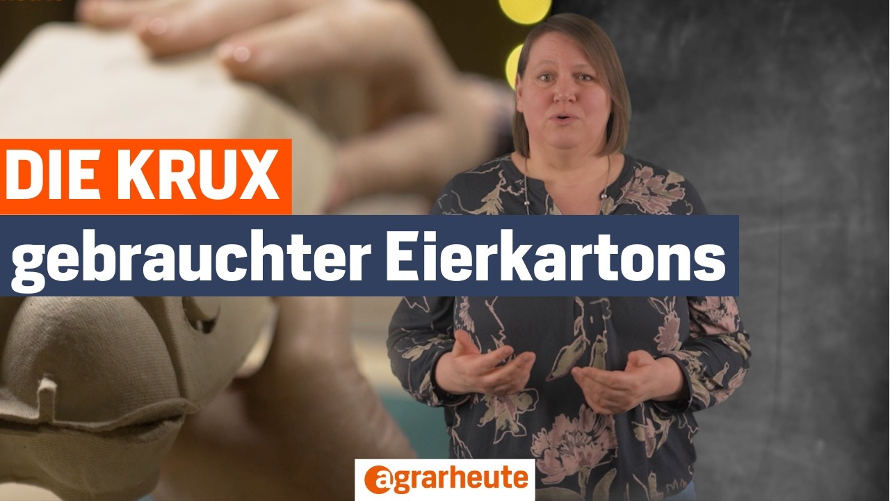 Eierkartons zum Landwirt zur&uuml;ckbringen? Warum das keine gute Idee ist