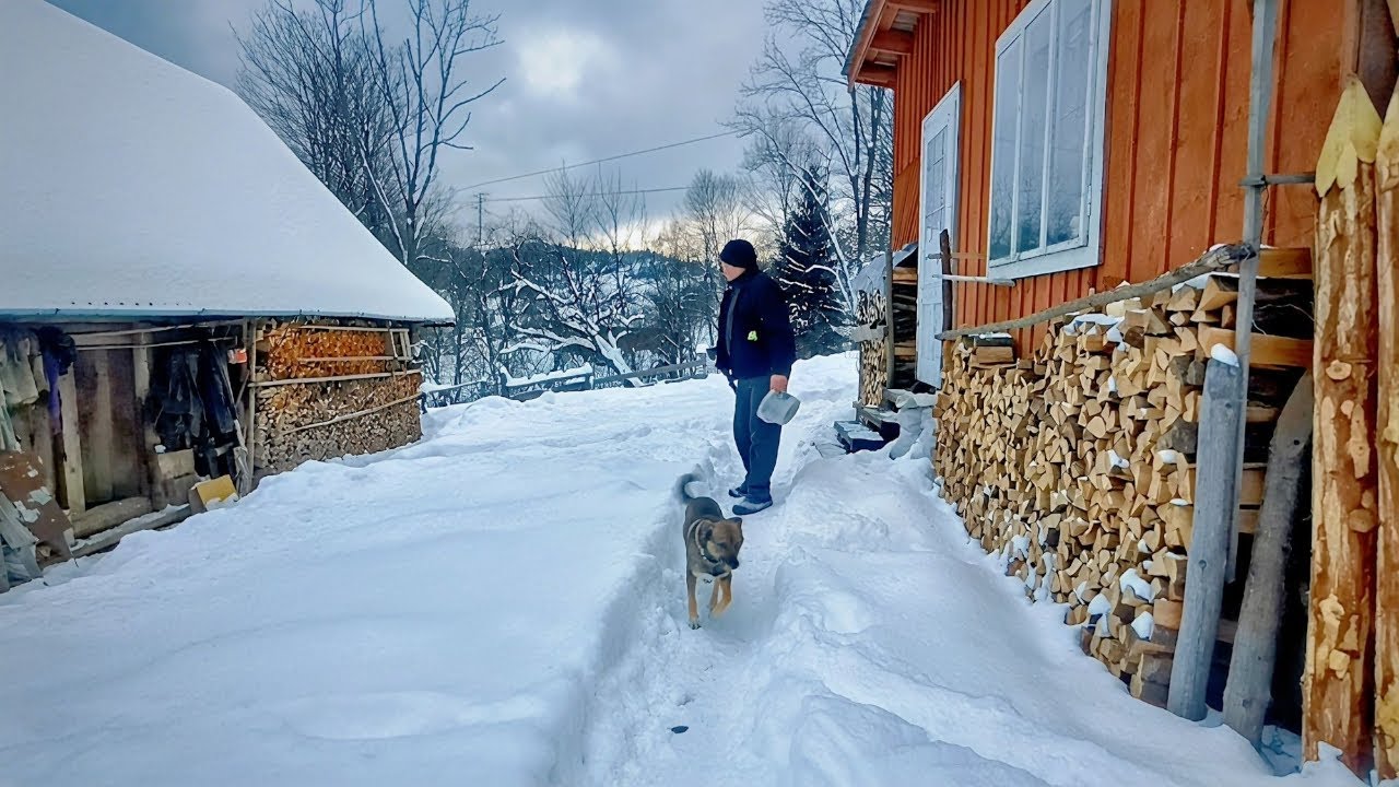Mykhailo&rsquo;s Simple Village Life in the Snowy Carpathians | Traditional Rural Day