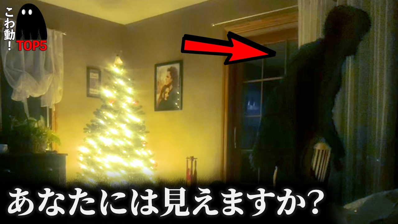 【戦慄の心霊映像5選】クリスマスに現れたのは&hellip;パート182