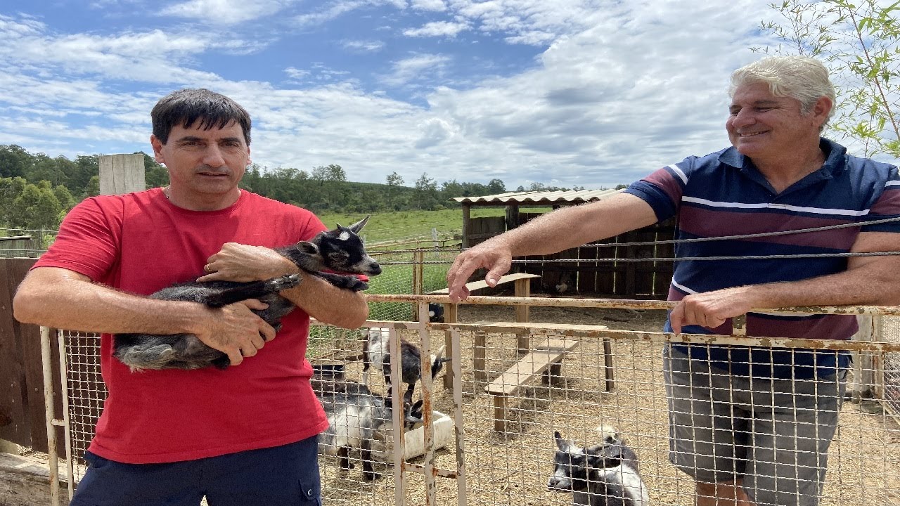 POUSADA BRILHANTE - MINI ANIMAIS E TRILHA NA MATA